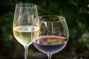 Lanzan el primer vino argentino 0% alcohol. Foto: Pixabay.