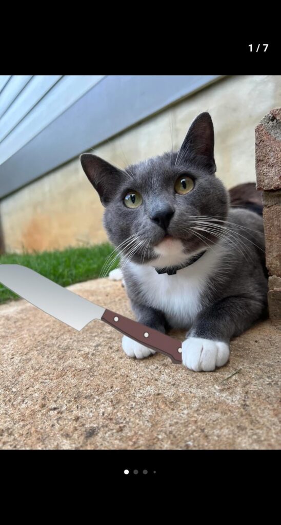 Chives is done hearing about how everyone is "cutting chives."