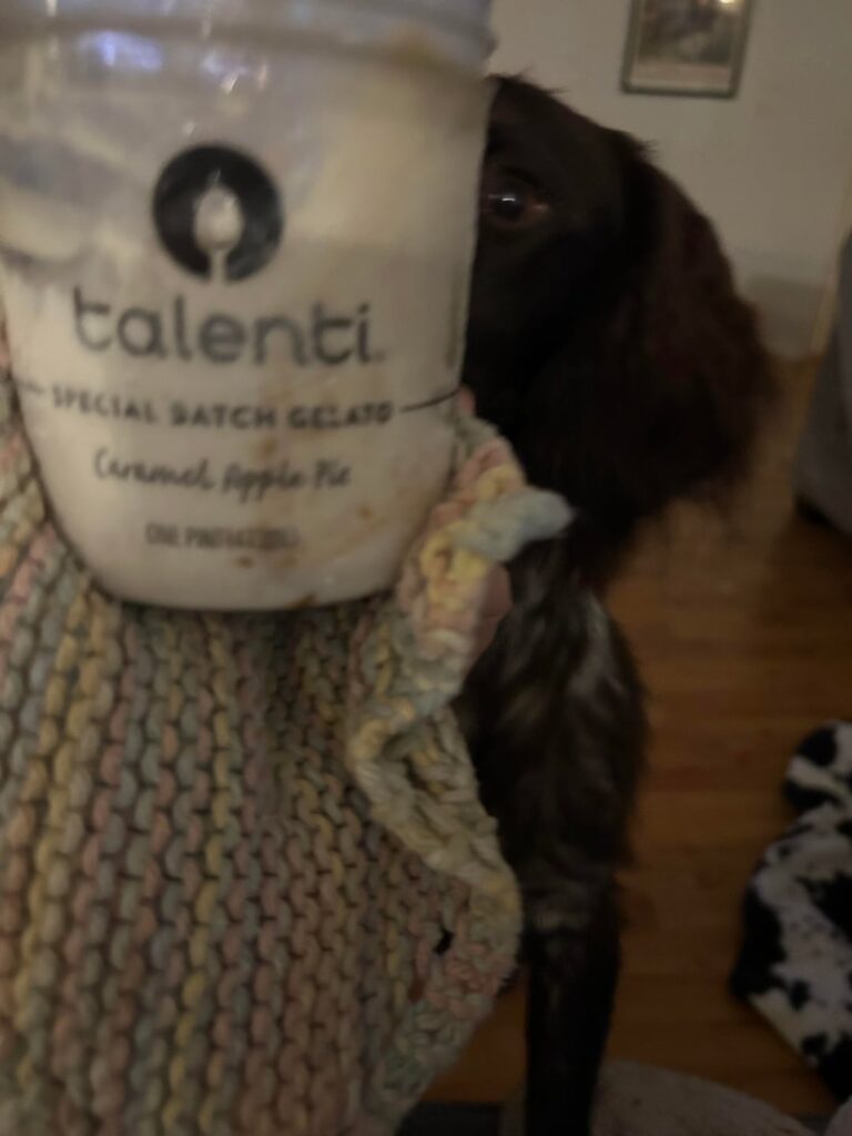 Talenti Caramel Apple Pie