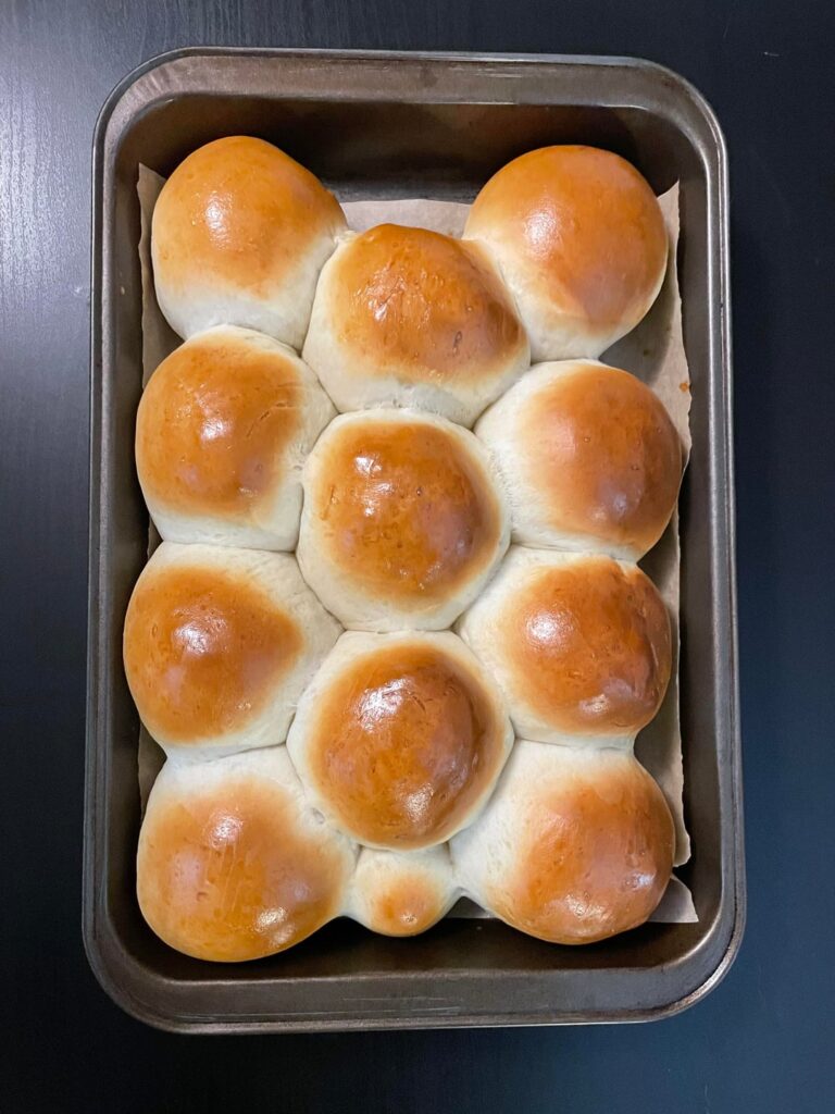 How cute are these sourdough dinner rolls I made tonight?