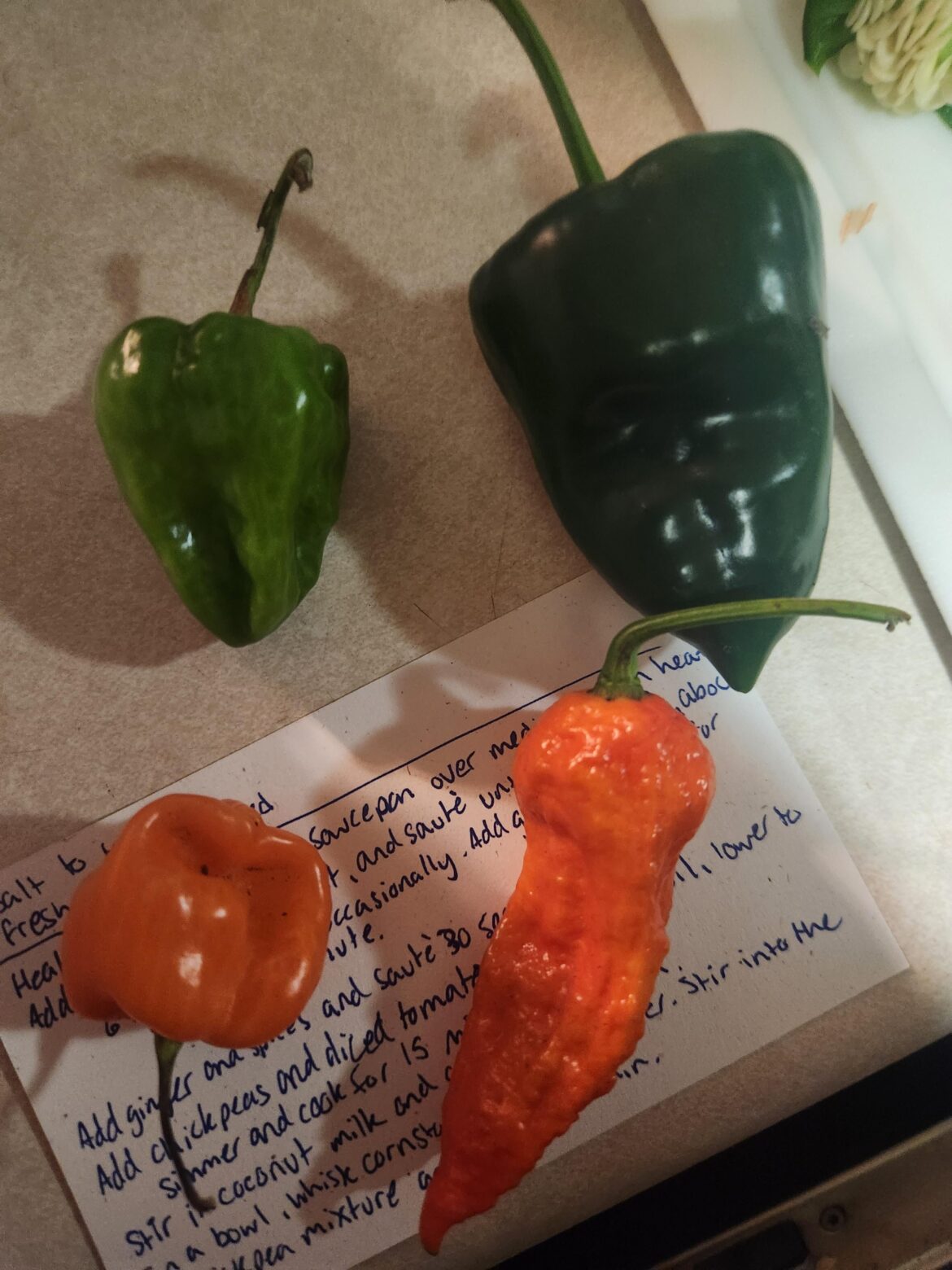 What kinds of peppers are these?