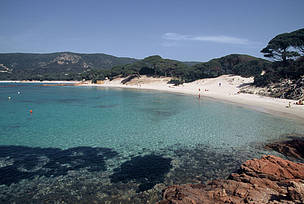 WWF and MSC to map impacts of fishing in the Mediterranean WWF and MSC to map impacts of fishing in the Mediterranean