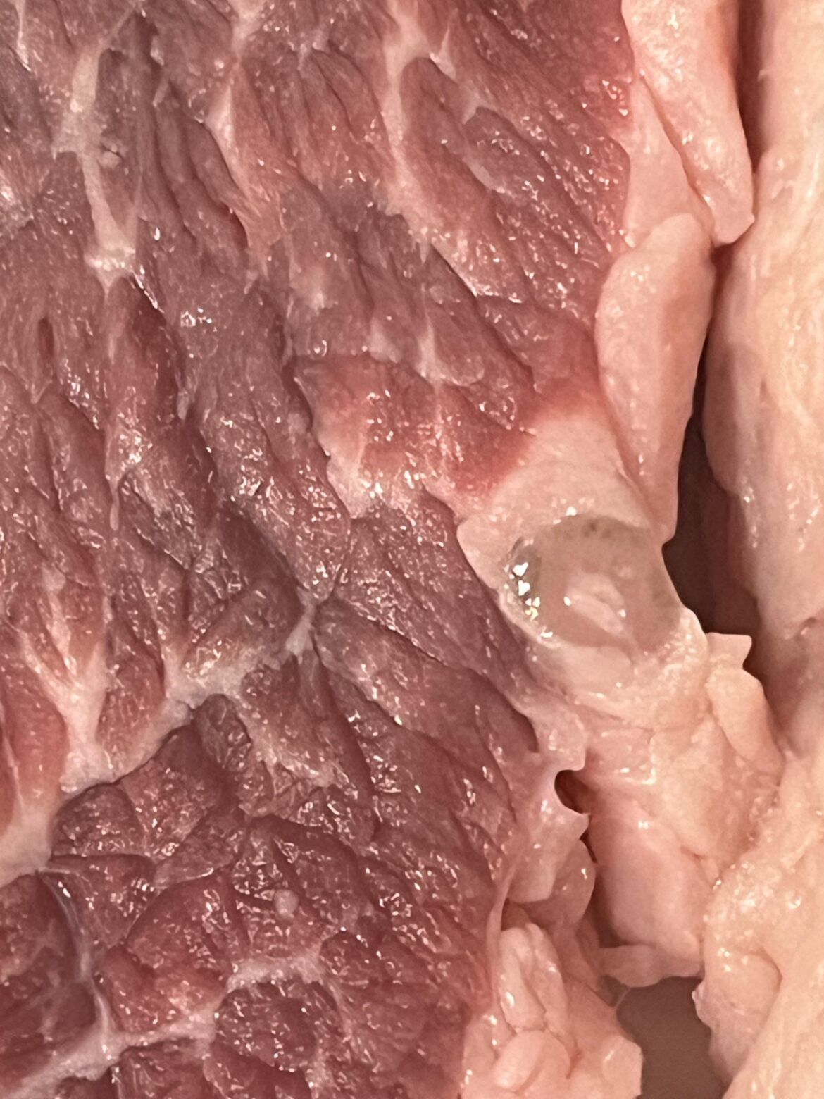 What is this found in my beef?