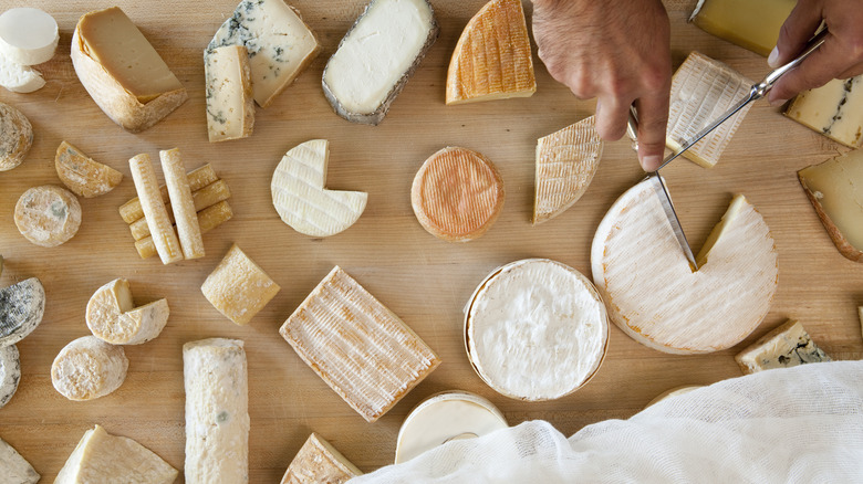 various soft rind cheeses on a large wooden board