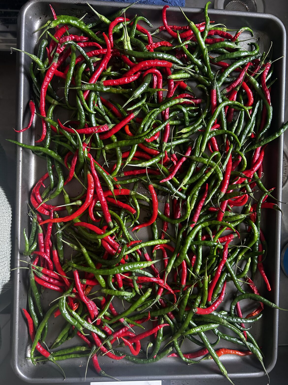 Gong bao over load. What to do?