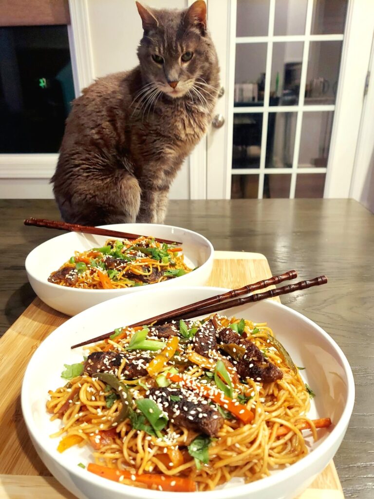 Made bulgogi-kimchi hakka noodles ... and got judged immediately