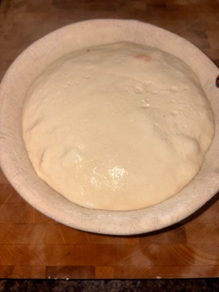 My mother in law accidentally baked my starter My mother in law accidentally baked my starter