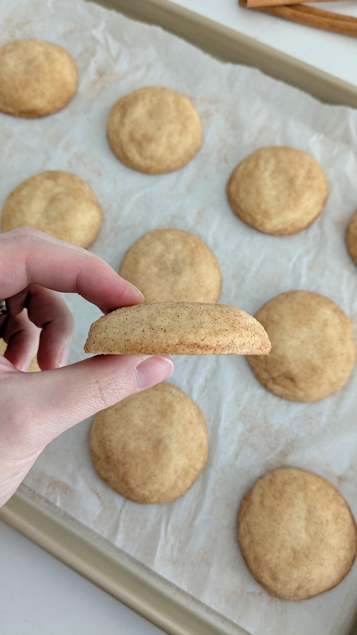 My grandma always made her snickerdoodles thick and puffy, so I make my snickerdoodles thick and puffy. That is just how it is. My grandma always made her snickerdoodles thick and puffy, so I make my snickerdoodles thick and puffy. That is just how it is.