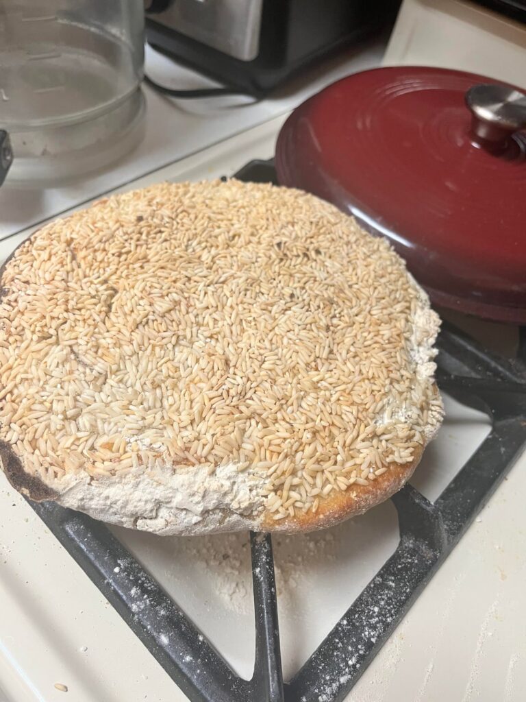 Good God, my dear husband’s first attempt at sourdough Good God, my dear husband’s first attempt at sourdough