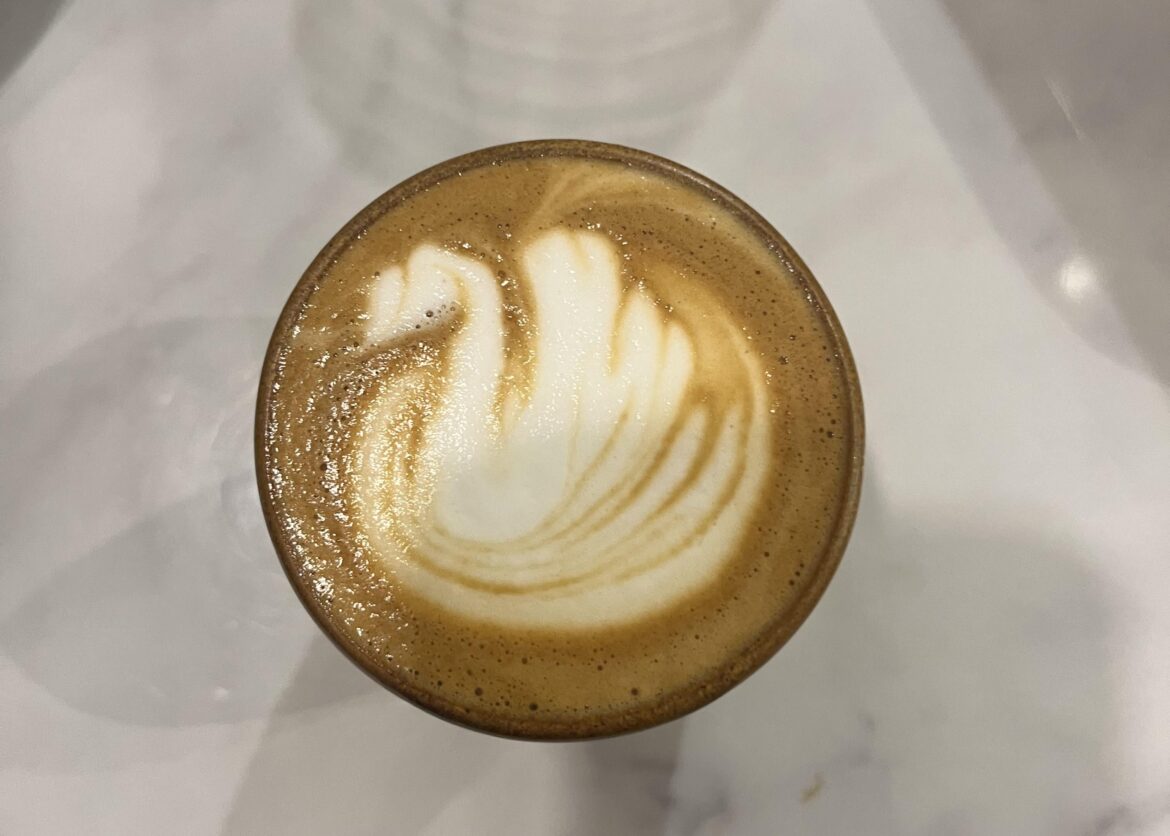 Swan??? How do you see it?