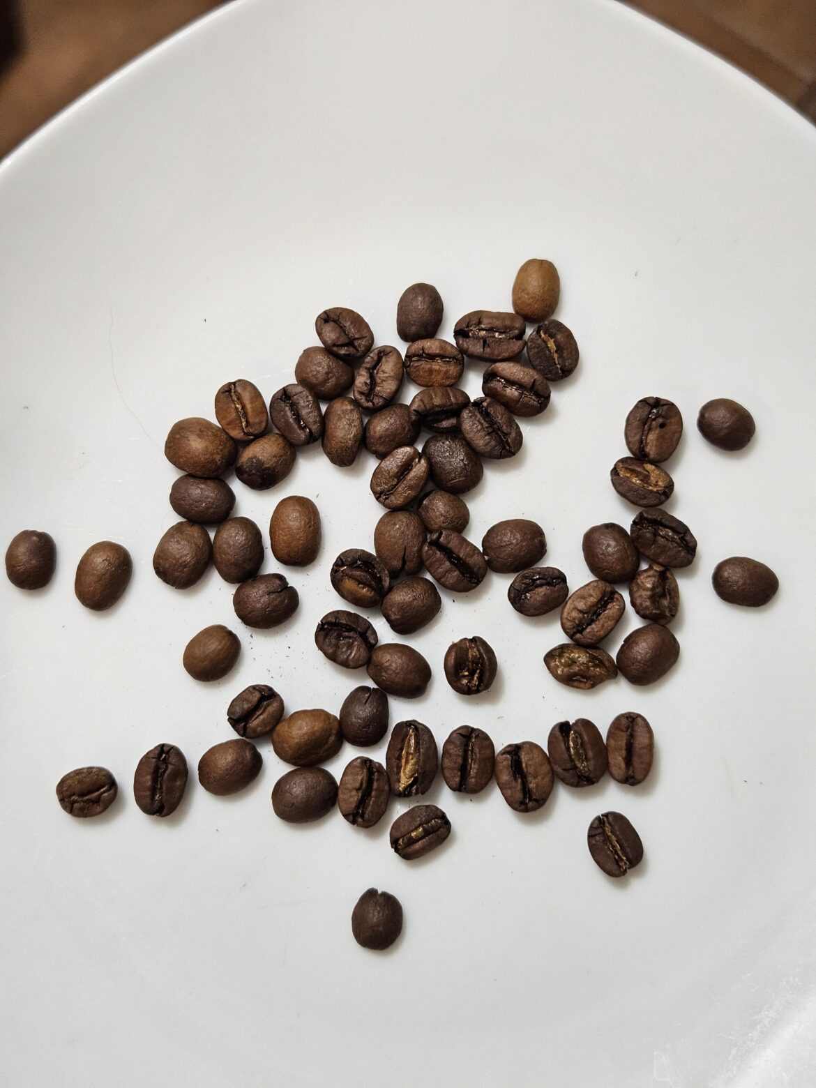 Do you think these grains could be categorized as specialty cofee? Arent they too irregular?