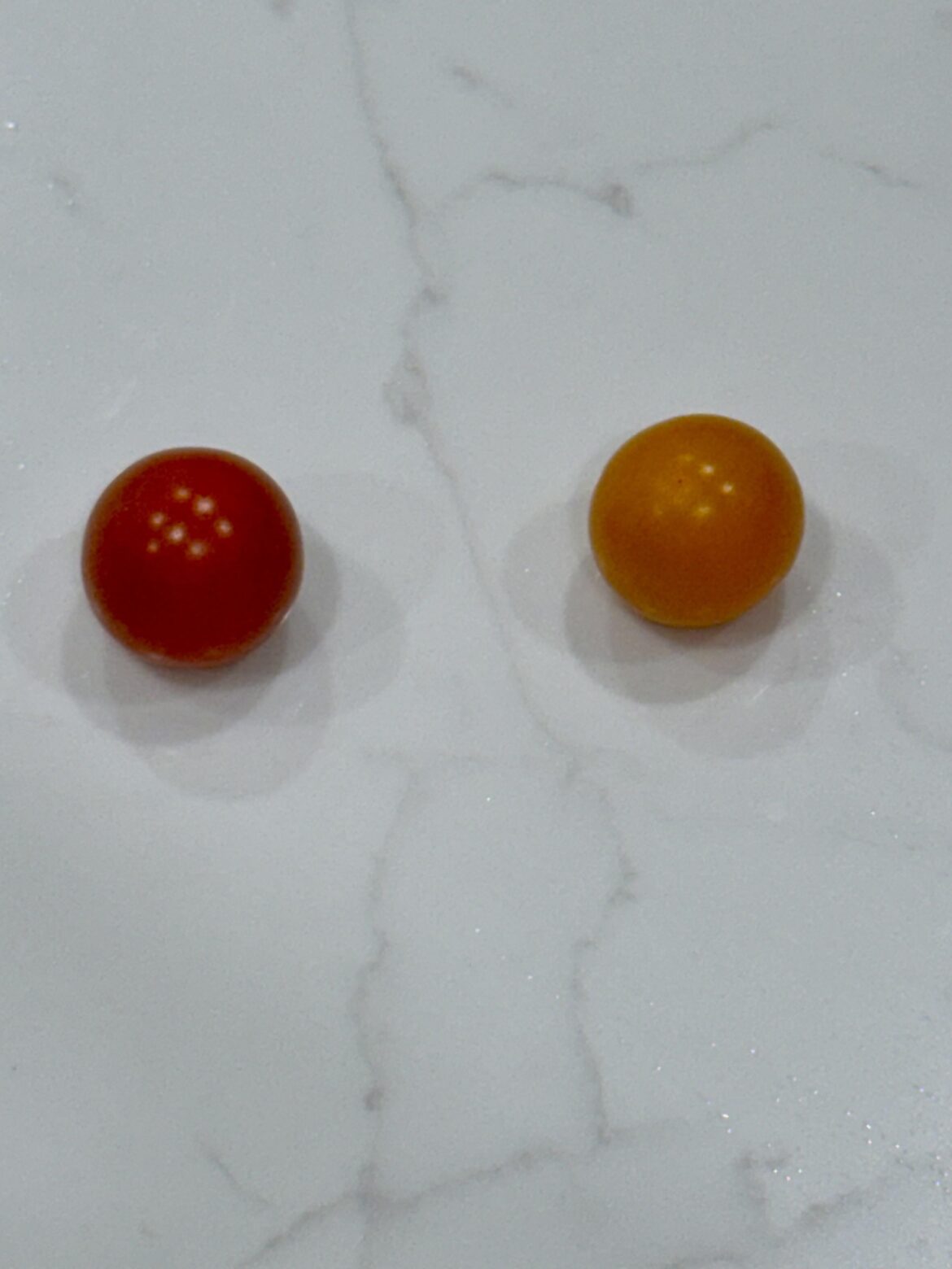 SuperSweet vs Sungold