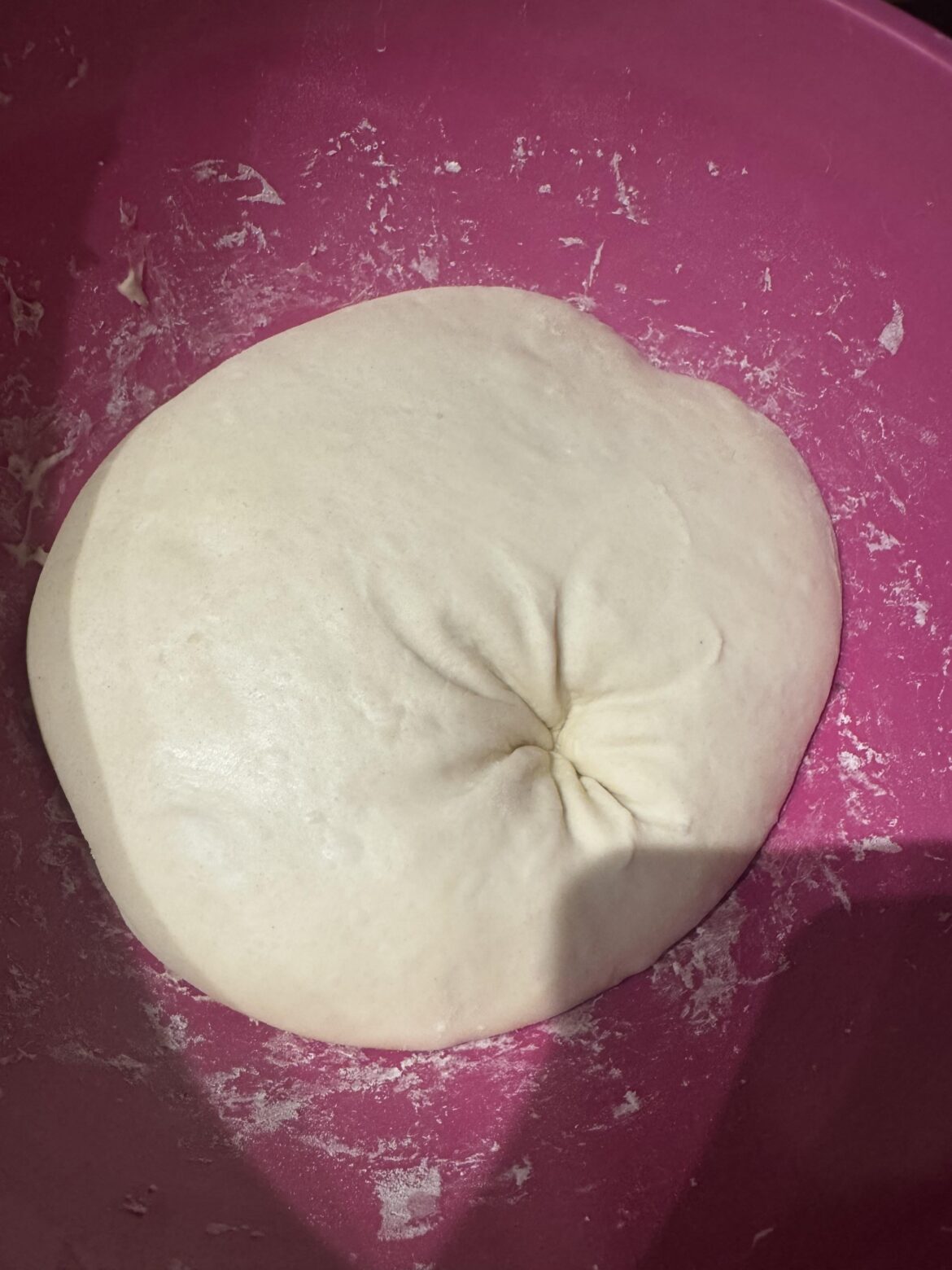 When your AH cat leaves an AH paw print 🥹🥲😂