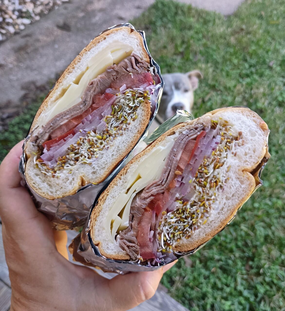 Roast beef, swiss cheese, tomato, red onion, and sprouts - homemade