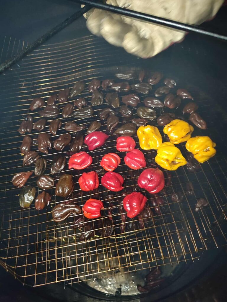 Smoking habaneros and superhots – whats your way? Smoking habaneros and superhots - whats your way?