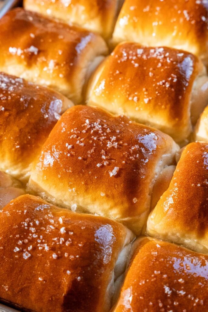 All of your vegan Thanksgiving needs in one place 🌱