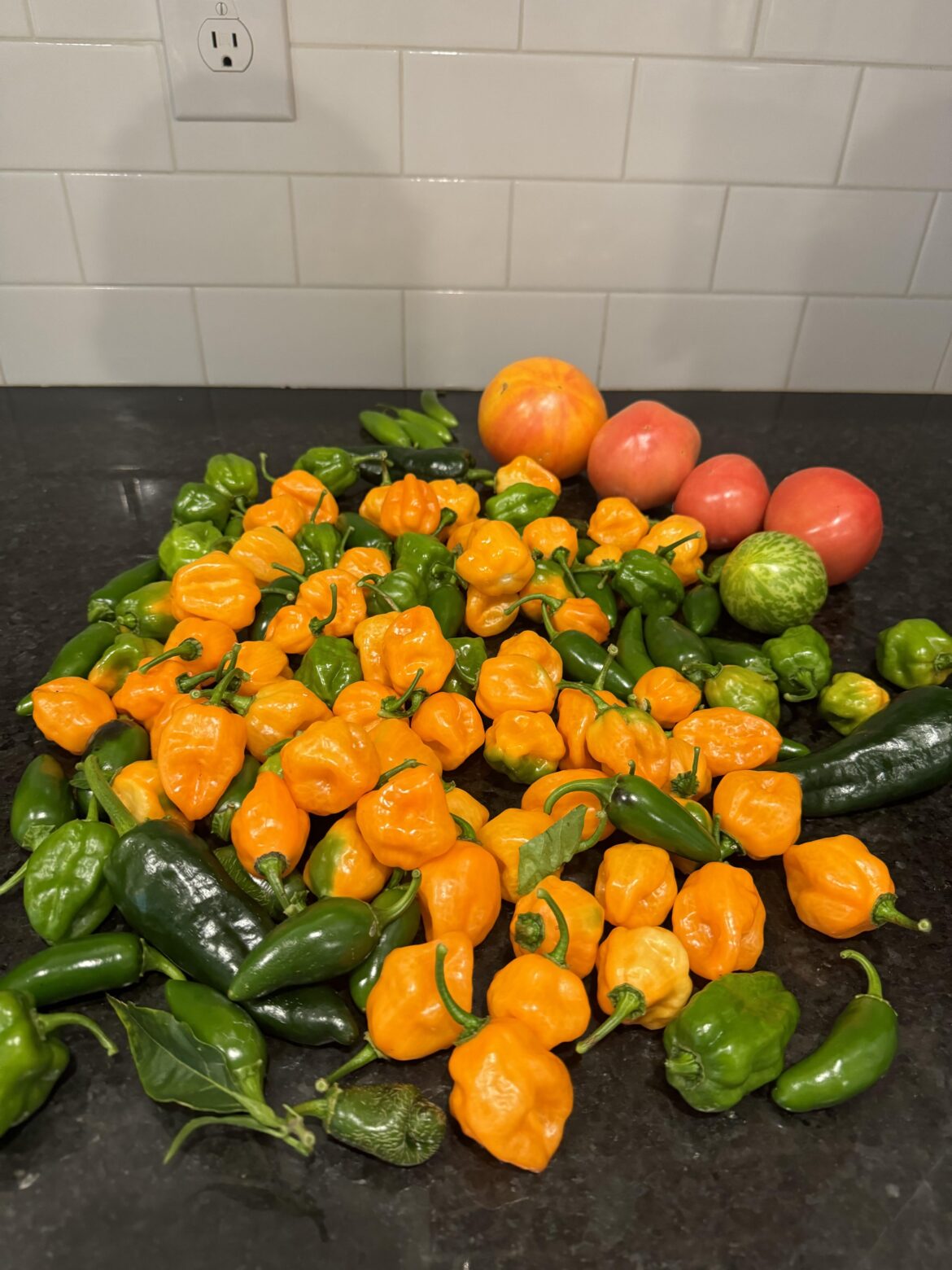 Last pick before we get our first frost this weekend. It’s been a great year for habaneros!