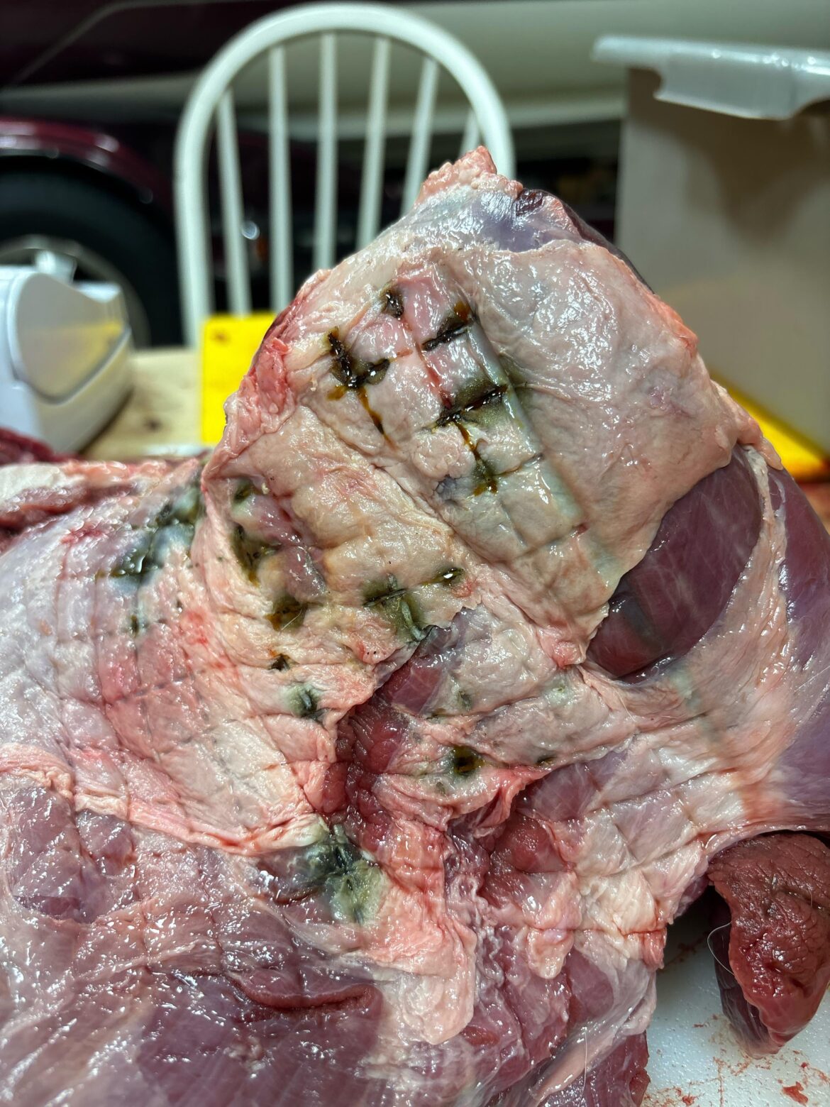 What is going on with this venison? Killed last week. Aged in refrigerator.