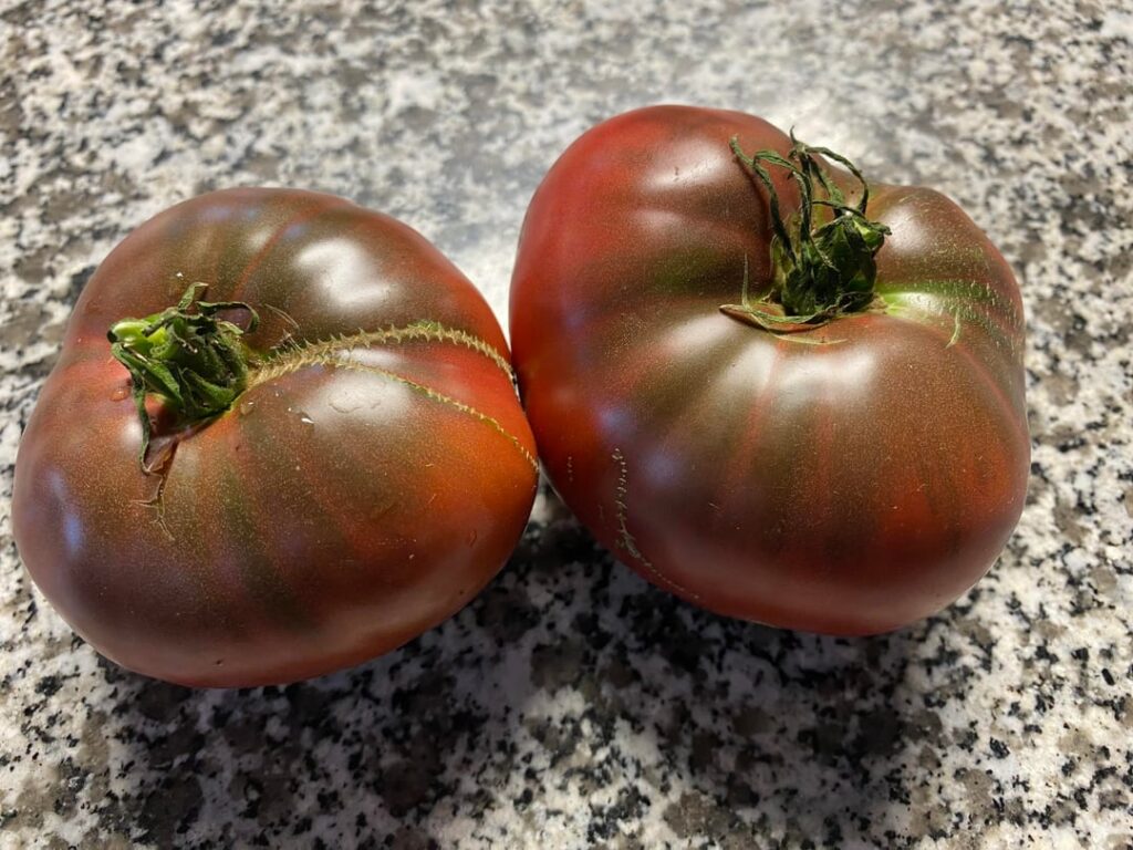 Sliced Cherokee Purple Pizza Sliced Cherokee Purple Pizza