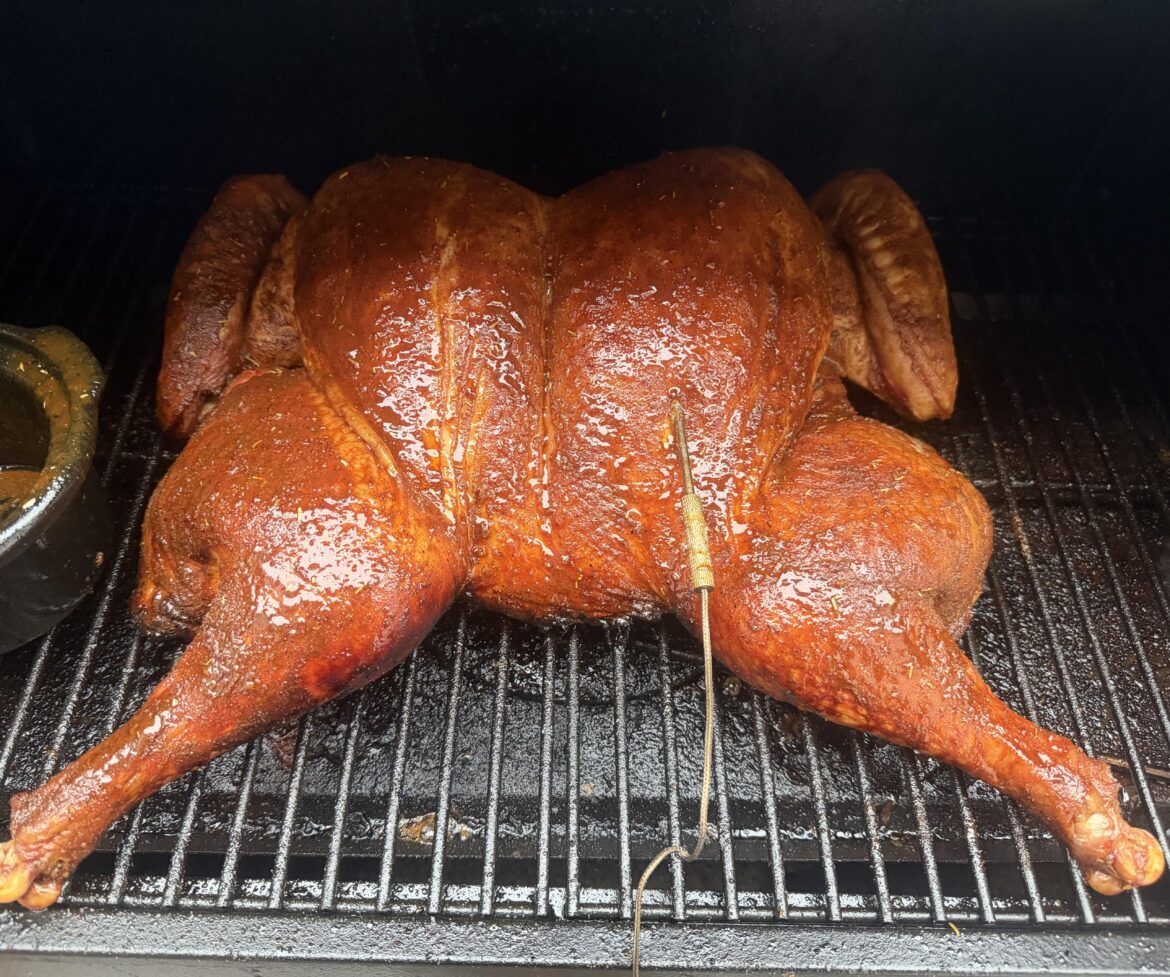 My first pellet grill bird