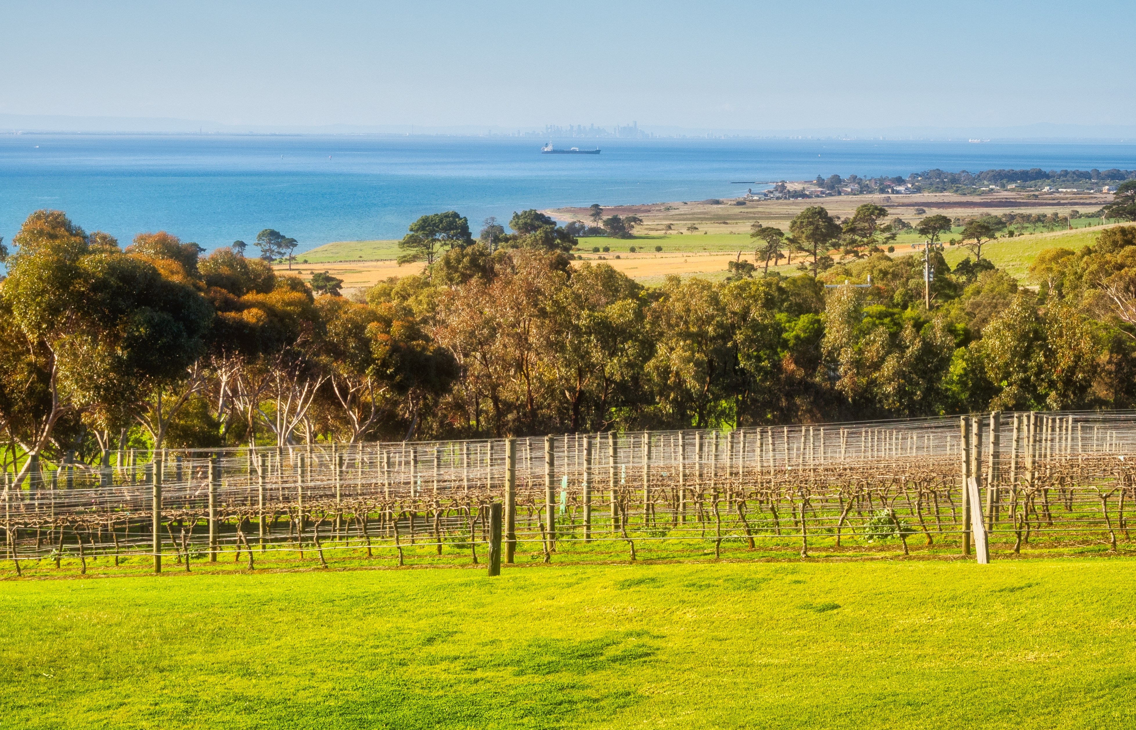 View of the city of Melbourne from the Jack Rabbit Winery.