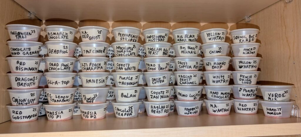 After the grind After the grind