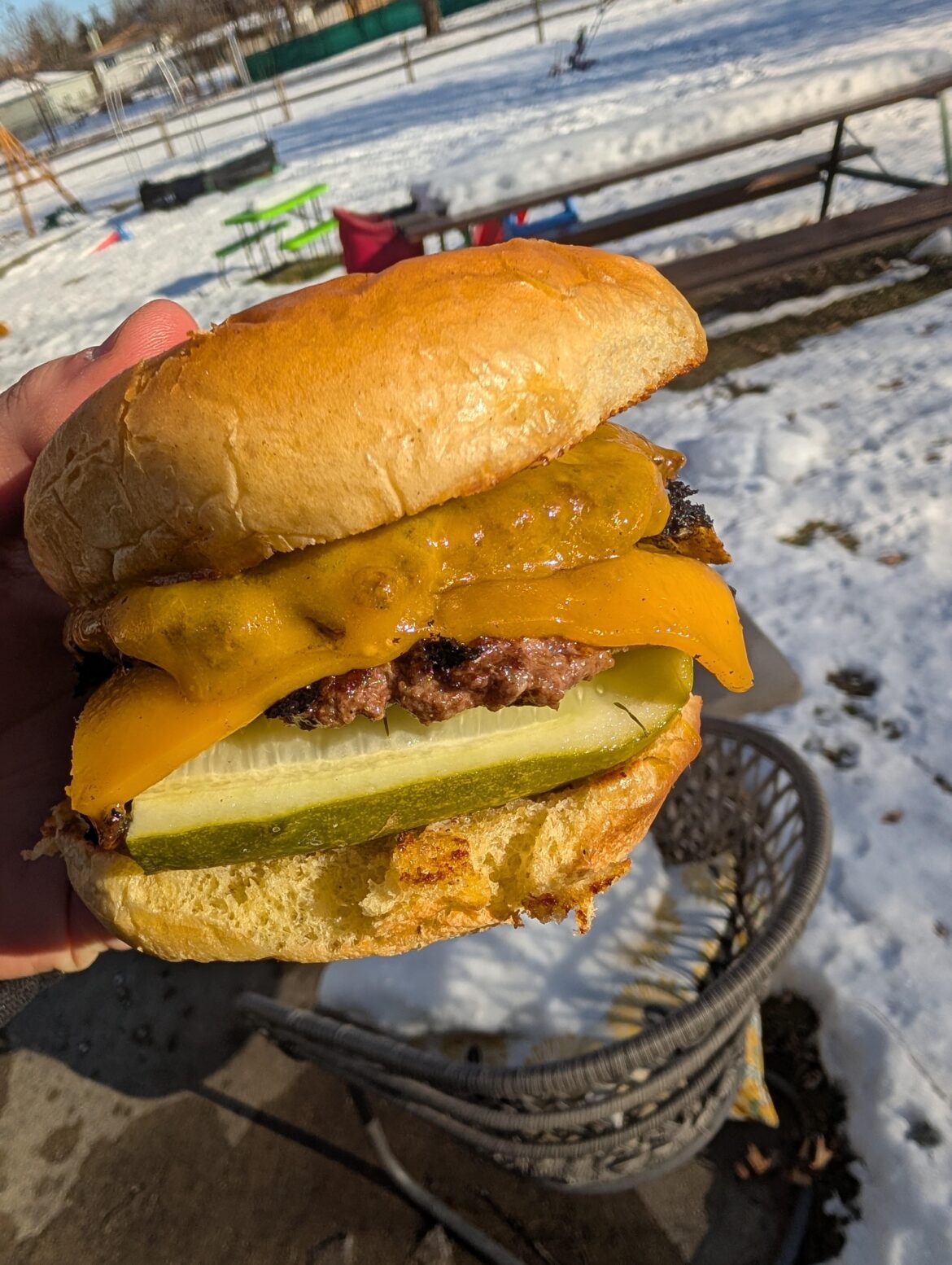 I ran out of pickle chips