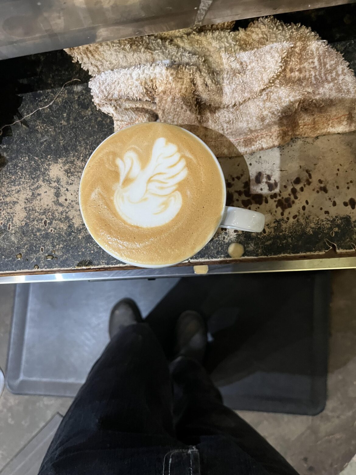 First swan! (Ignore the disgusting rag please)