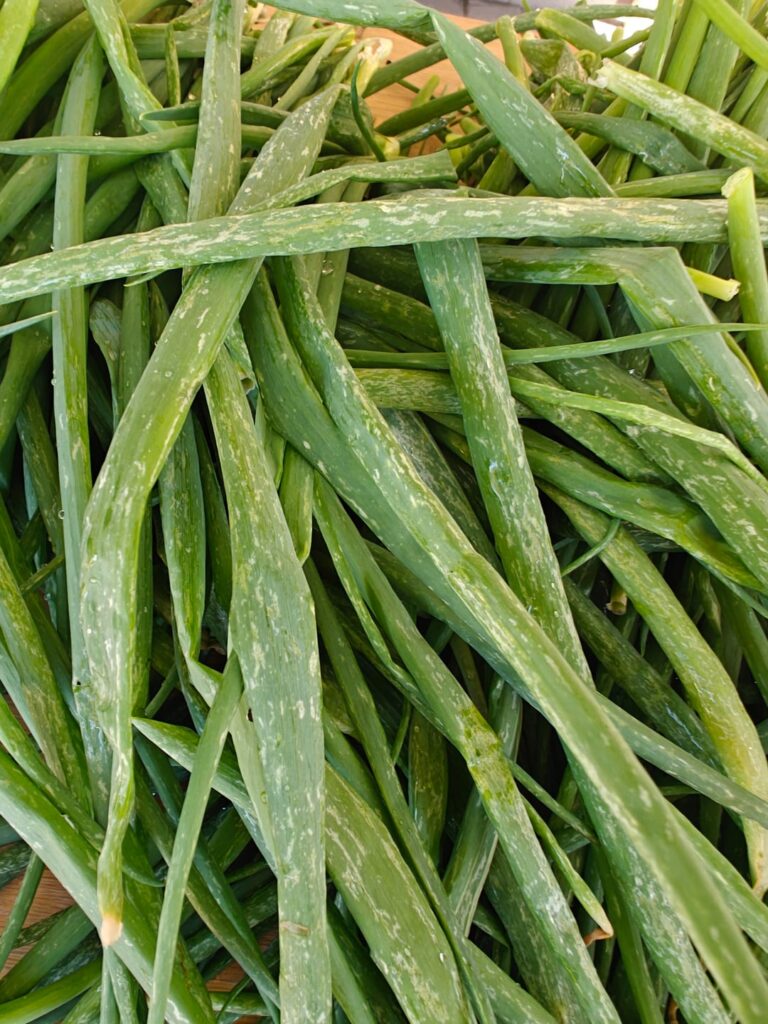 My scallions grow with white streaks. Is this okay to eat?
