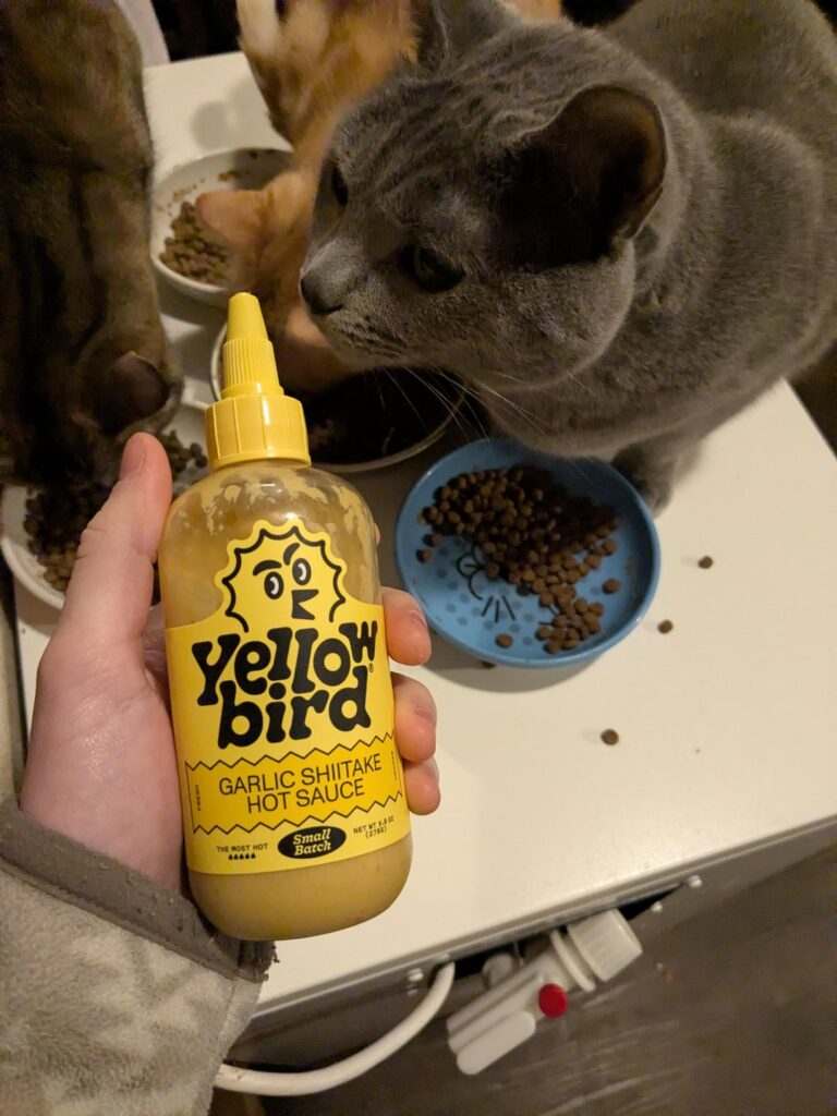 Seeking Opinions on This Saowce