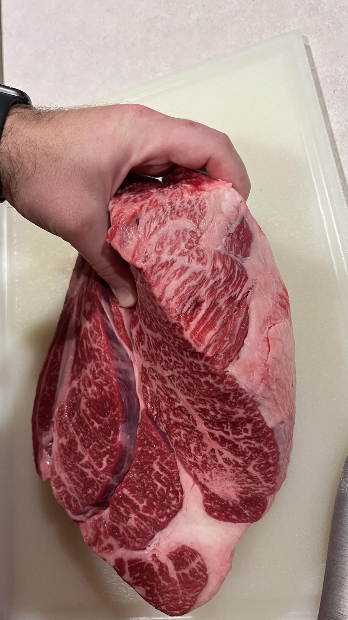 A Chuck Roast I Picked Up Last Week for Beef Bourgnon