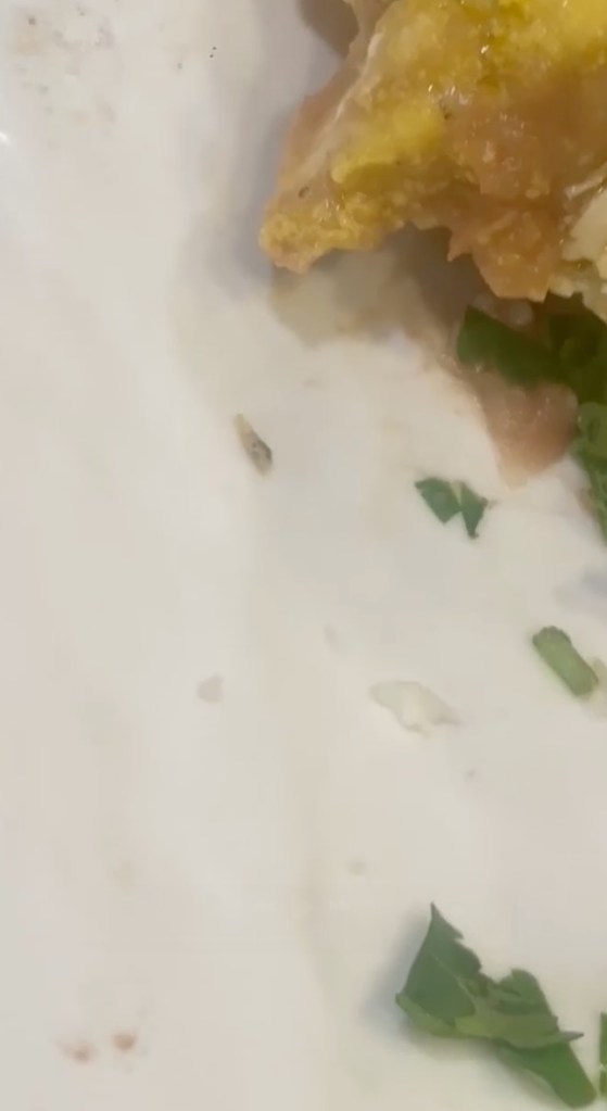 A bug found in a student's food at Everybody's Kitchen.