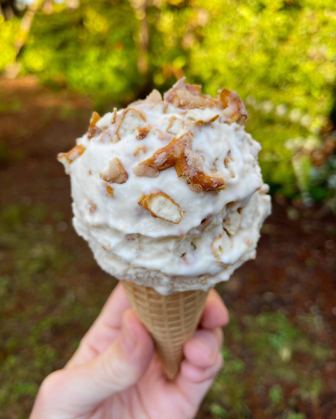 Today I made: Butter Toffee Pretzel ice cream