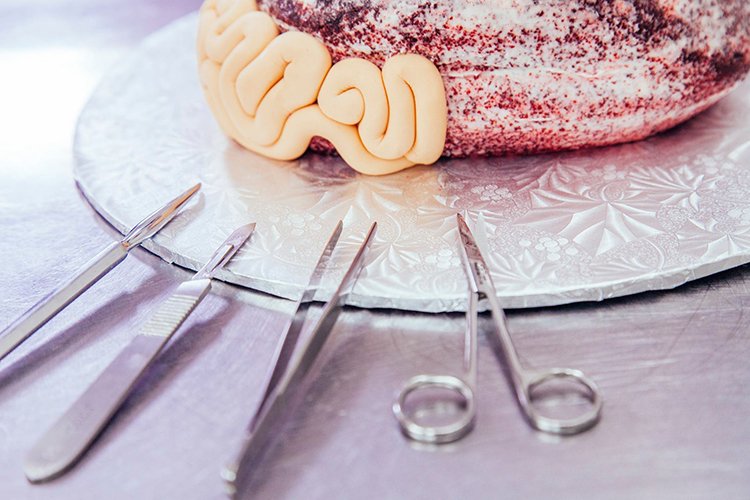 Deep Red Velvet Brain Cake