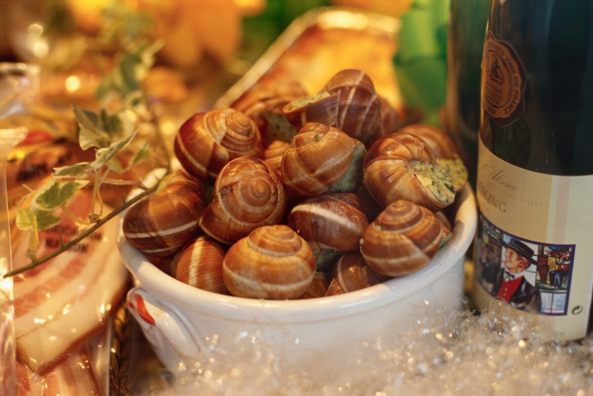 French Farm Robbed of Entire Snail Supply Worth Over $100,000