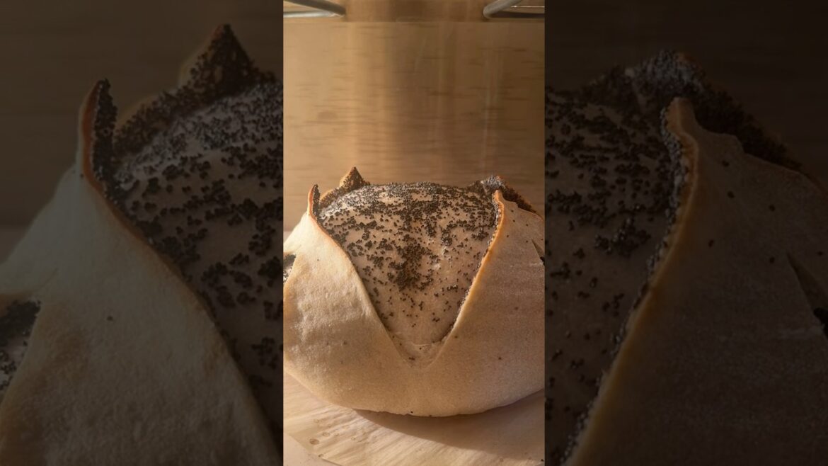 Learn how to make this beauty ( details in description)