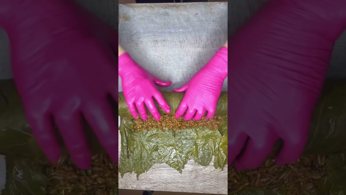 Kalem gibi yaprak sarma tarifi ￼