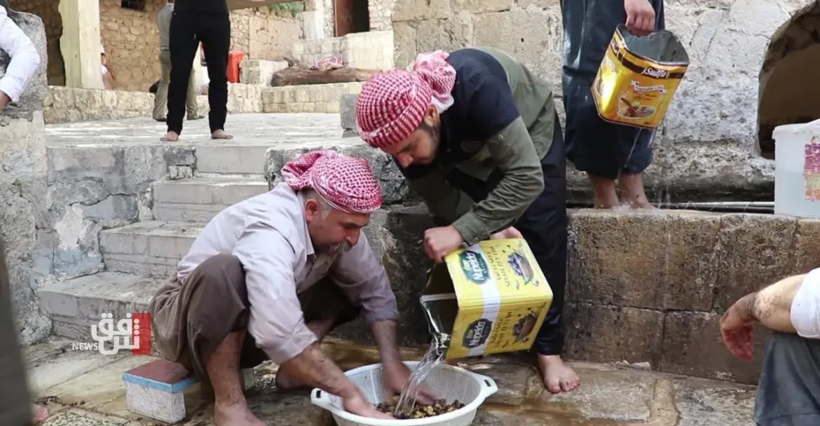 Yazidis begin annual olive harvest ritual at Lalish temple in northern Iraq Yazidis begin annual olive harvest ritual at Lalish temple in northern Iraq