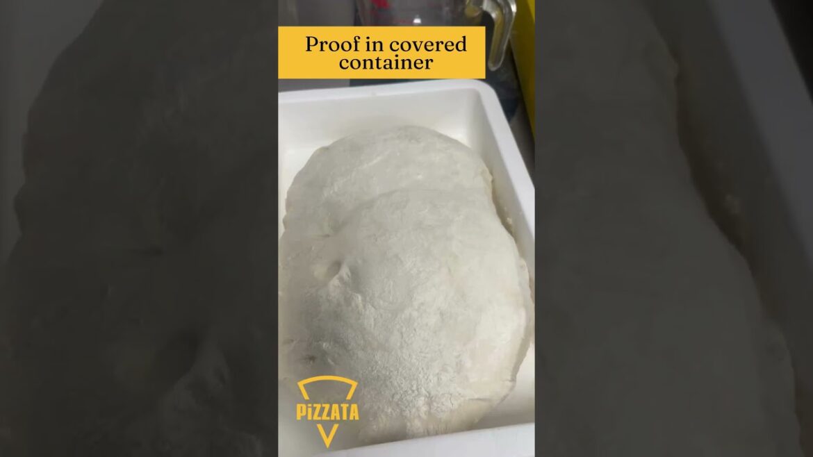 How to make Neapolitan Dough with a mixer - an Easy Recipe #neapolitanpizza #pizzadoughrecipe