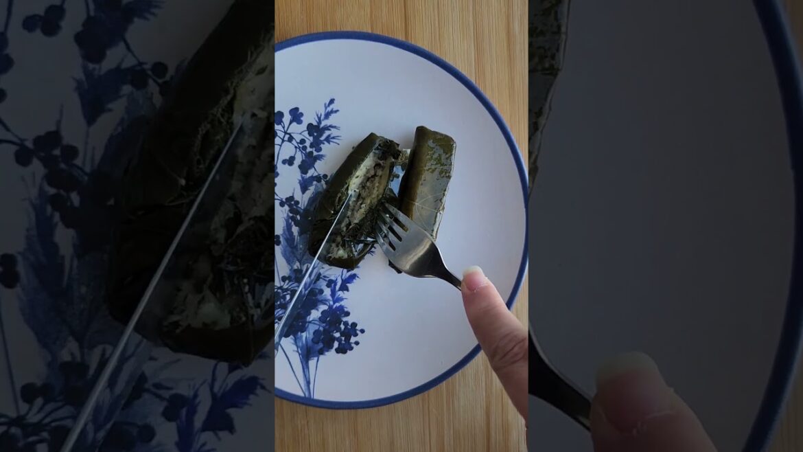 DENİYORUZ – TADA Yaprak Sarma – Stuffed Vine Leaves 400 gr DENİYORUZ - TADA Yaprak Sarma - Stuffed Vine Leaves 400 gr