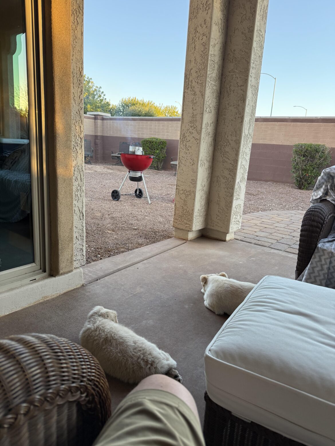 Just a man, his dogs, and his red kettle.