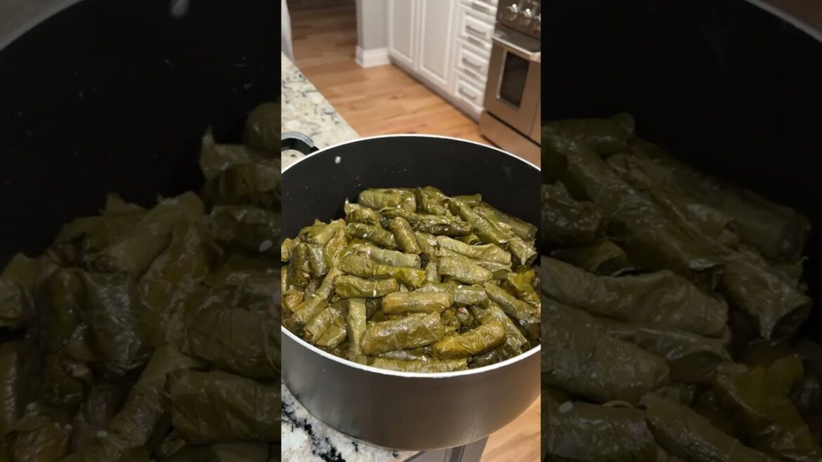 Traditional Lebanese grape leaves from the south