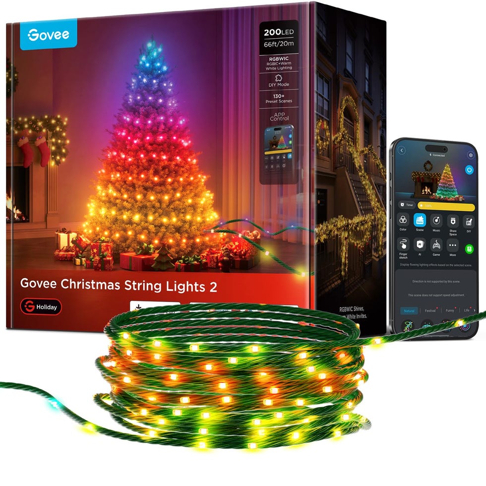 Govee Christmas String Lights