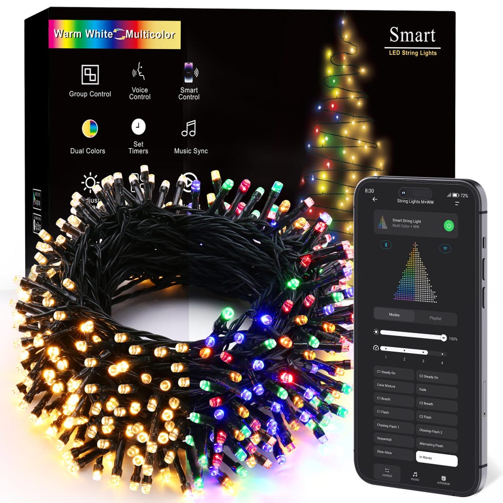 BrizLabs Smart Christmas Lights