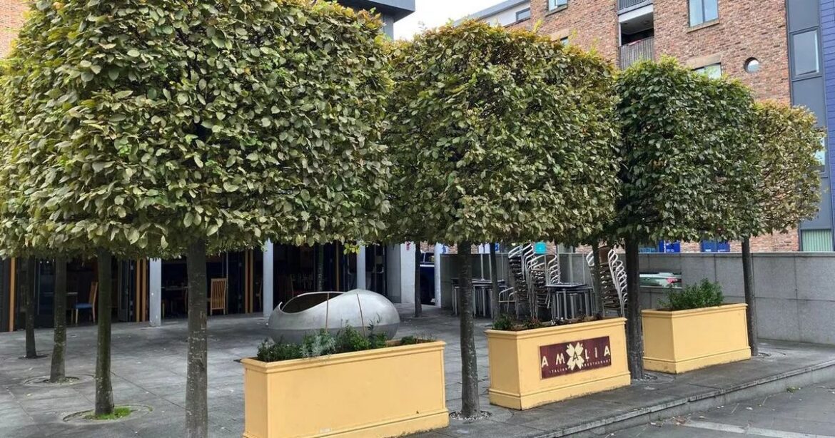 Liverpool restaurant up for sale after fire caused closure Liverpool Echo