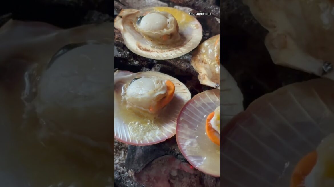 BUTTERED GRILLED SCALLOPS