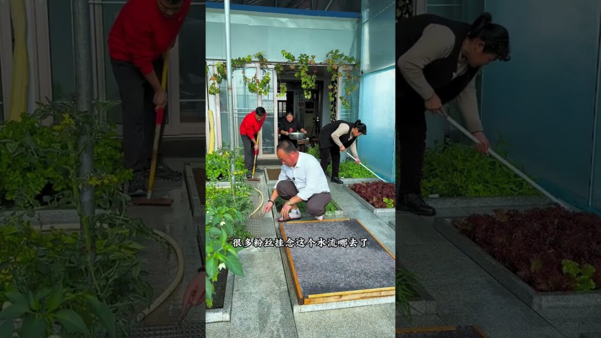 Look at the drainage system of this rooftop vegetable garden
