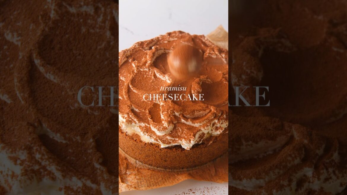 NO-BAKE TIRAMISU CHEESECAKE! #baking #eggfreebaking #recipe #dessert #cheesecake #tiramisu