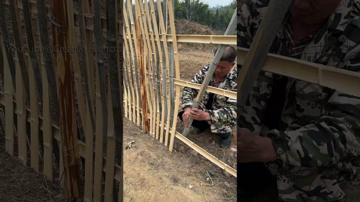 Bamboo fence, the secret weapon of the vegetable garden