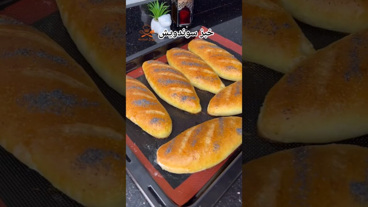 خبز السوندويش كيجي قطني بلا دليك  #وصفات_سهلة #شهيوات_رمضان #شهيوات_مغربية #غداء_سريع  #طبخ_مغرب